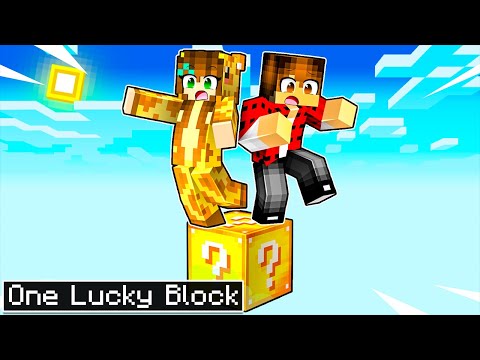 Minecraft BUT you ONLY get ONE LUCKY BLOCK