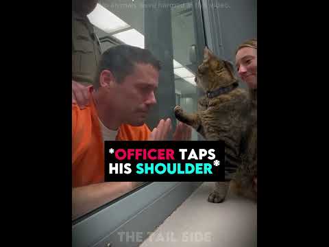 The Inmate Was Saying Goodbye to His Wife and Cat… 💔🐱