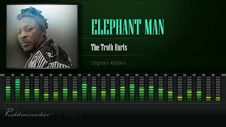 Elephant Man - The Truth Hurts (Orgasm Riddim) [HD]
