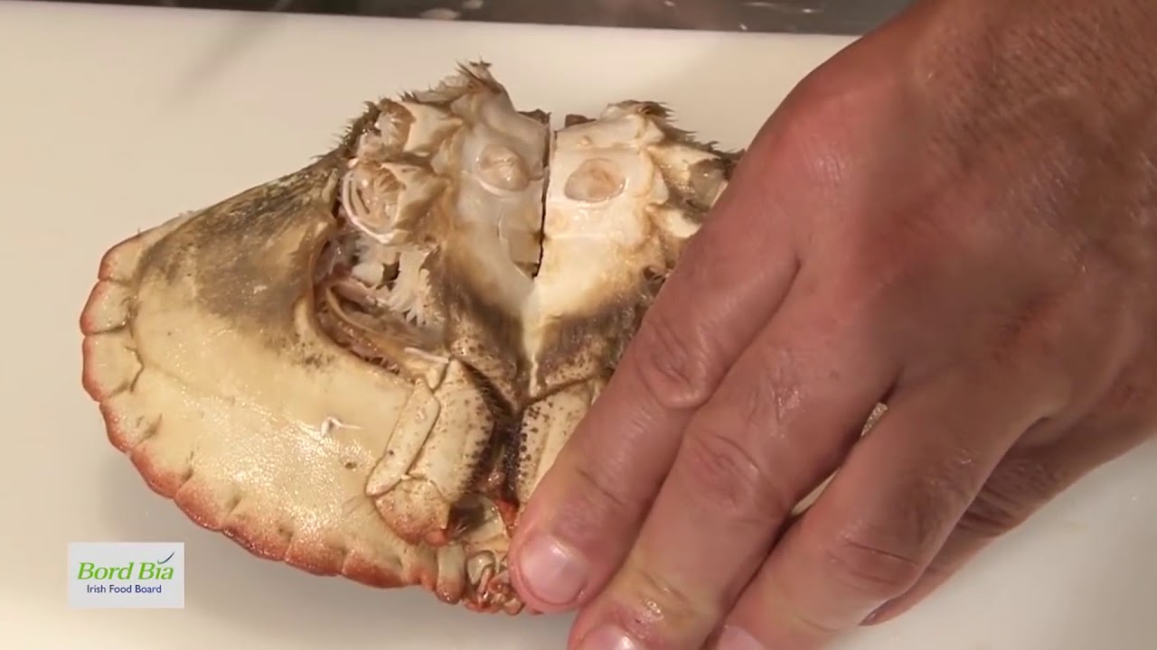 Décortiquer un crabe tourteau