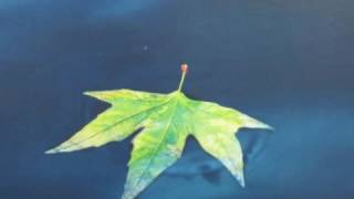 ジェニファーウォーンズ 1