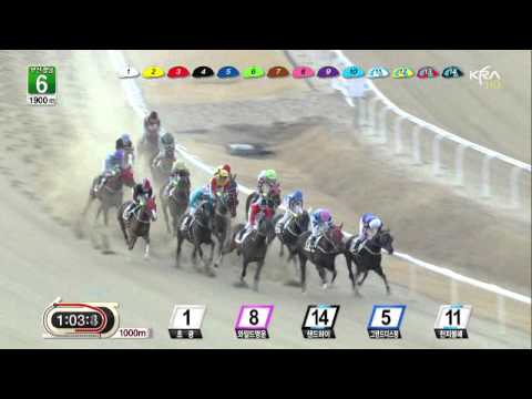 Cheonji Bulpae - February 16, 2014