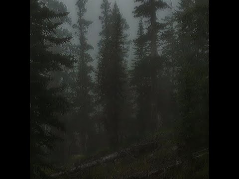 *free* - welcome to afterlife - prod. pmrxsick