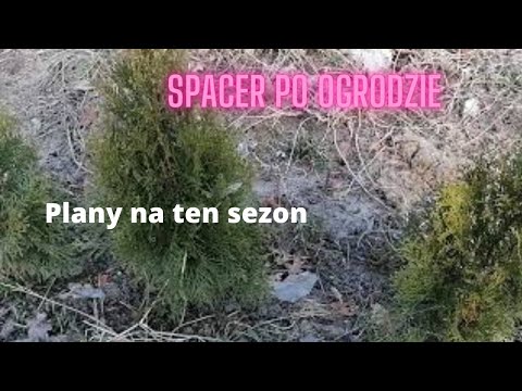 Ogrodowe pierdamony, czyli co w ogrodzie słychać? jakie plany na ten rok? przegląd ogrodu.