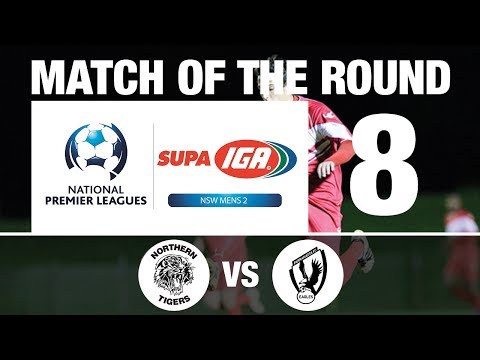SUPA IGA NPL NSW Mens 2 - Northern Tigers vs Parramatta FC
