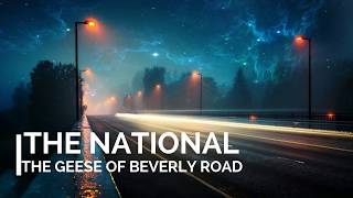 The National - The Geese of Beverly Road Subtitulada