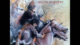 Ronnie Wood - Interfere .