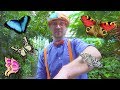 Blippi Explores The Pacific Science Center Educational Videos For Toddlers