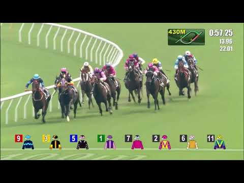 12/9/2021 (23) King's Capital - Z Purton