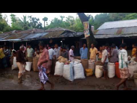 কচুর কালেকশন পয়েন্ট