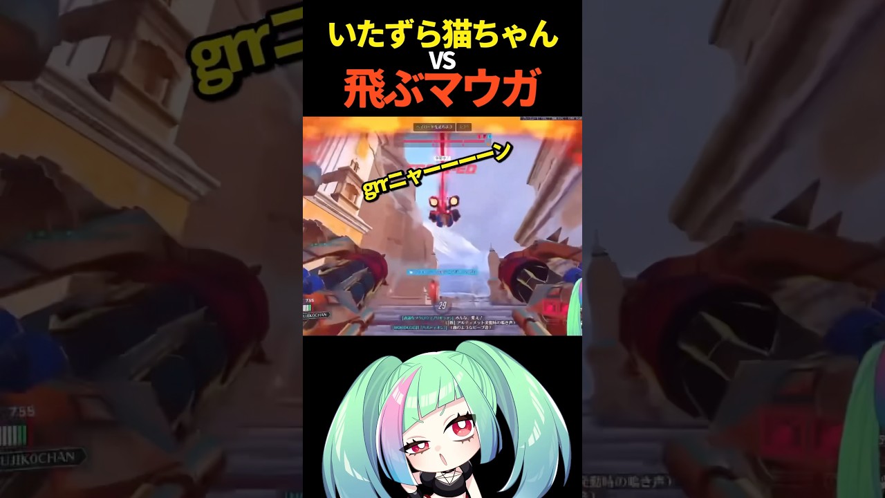 【OW】筋肉は飛ぶ、猫に落とされても【#overwatch2 】#overwatch #ow #ow2 #shorts