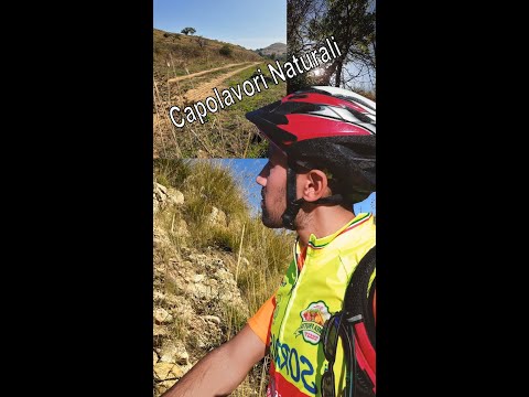 Capolavori Naturali: Il Bosco un rifugio segreto da scoprire!