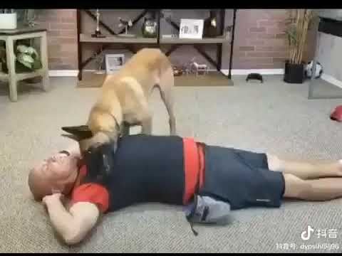 Dog know symptoms of disease/see it's too funny