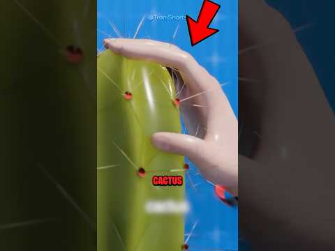 How To Remove Cactus Spines! 😱