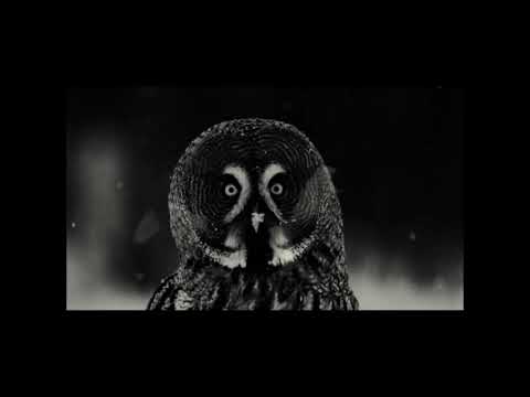 Klaus Ellerhusen Holm - Chinese Telephone (2019)