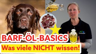 Die RICHTIGEN ÖLE fürs Hundefutter: Die besten Öle für deinen Hund! TippsI Hund richtig ernähren!