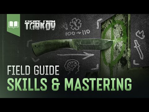 Field Guide #7: Skills & Mastering