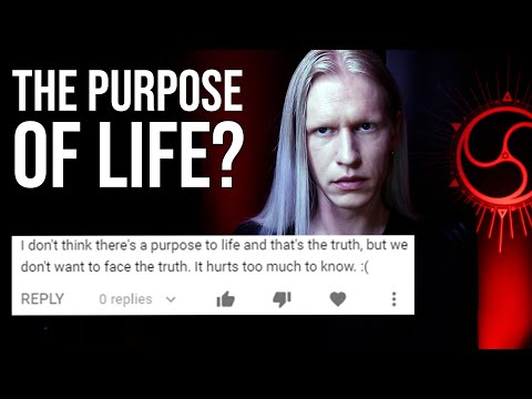 What's the REAL Purpose of Life? Reading YOUR Comments
