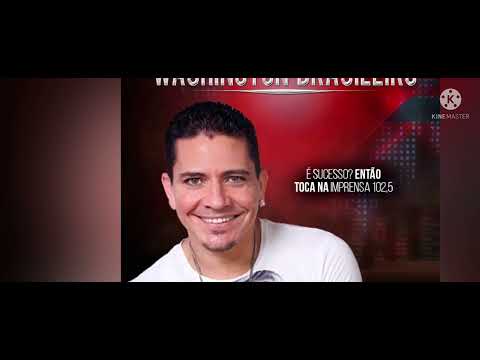 Washington Brasileiro-Quero Estar livre.( MúsicaOficial).