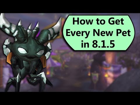 How to Get Every New Pet in 8.1.5