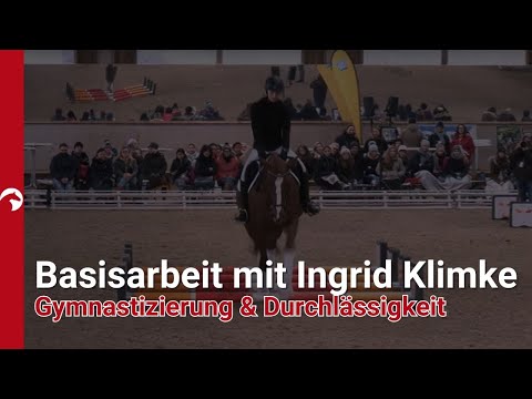 Basic work with Ingrid Klimke