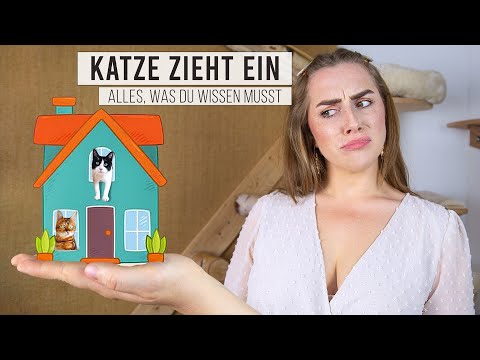 Getting a baby kitten? Adopting a shelter cat? Settling in, basic equipment & comprehensive cat g...