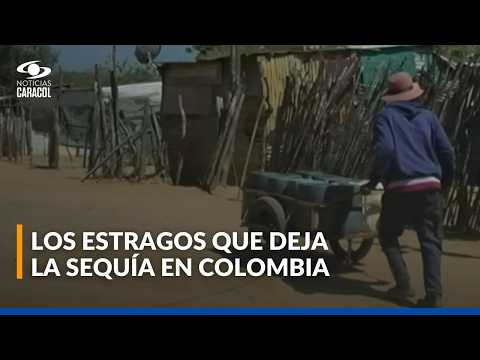 Sequía en Colombia: Viotá, Cauca, La Guajira y Bolívar enfrentan escasez de agua
