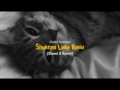 SHUKRAN LAKA RABBI | SLOWED + REVERB NASHEED | PERFECT LOFI | NO MUSIC |