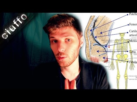 Ginnastica anca Bubnovskaya Dimensione del gomito