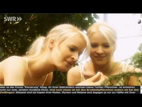 Total phänomenal - Klonierung