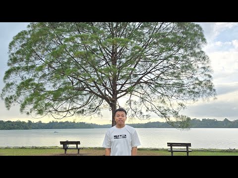 Upper Seletor Reservoir (Singapore) Outing day Alone  😆 29.1.2026(Thursday)