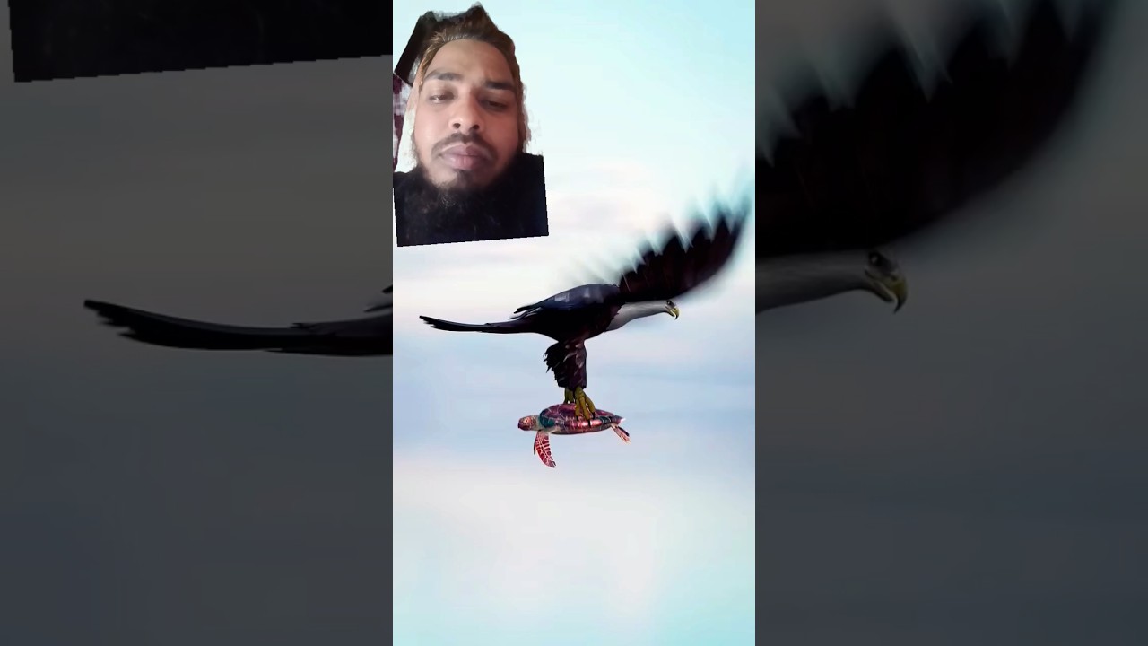 Mistaken for a Rock 😲#shorts #shortsfeed #viralshorts