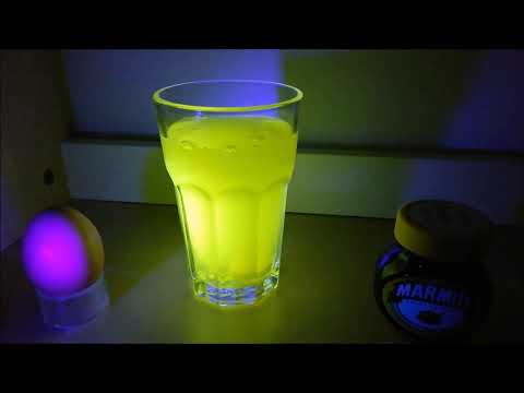 Fluorescence Scavenger Hunt at Home