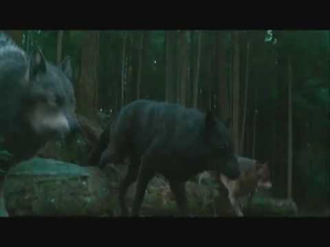 Konečný trailer Eclipse - CZ titulky