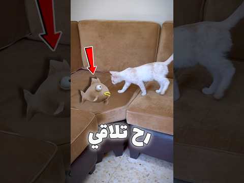 لورسمت على سمكة وخفيتها القطة رح تلاقيها🐟