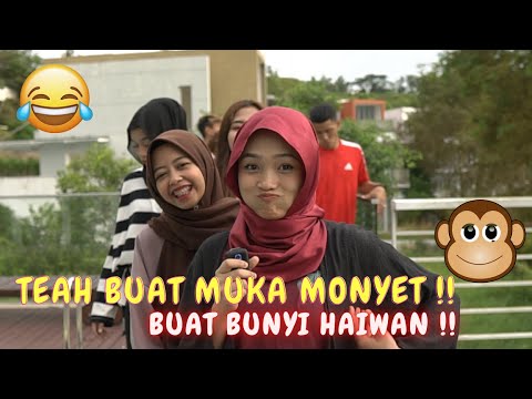 TEAH BUAT MUKA MONYET !! - BUAT BUNYI HAIWAN !!