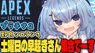 【APEX/プラチナ２】夜は呑み雑談！みんなおはよおお🌞キーマウソロランク【ゆるりめぐ/vtuber】