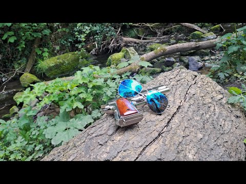 There's Been a Murder in The Pinegrove!