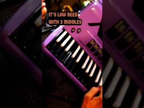 New Accordion Sounds Insane! #Solloni #Piano #Accordion #music