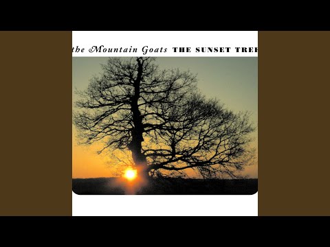 Videoclip de Dinu Lipatti's Bones — The Mountain Goats
