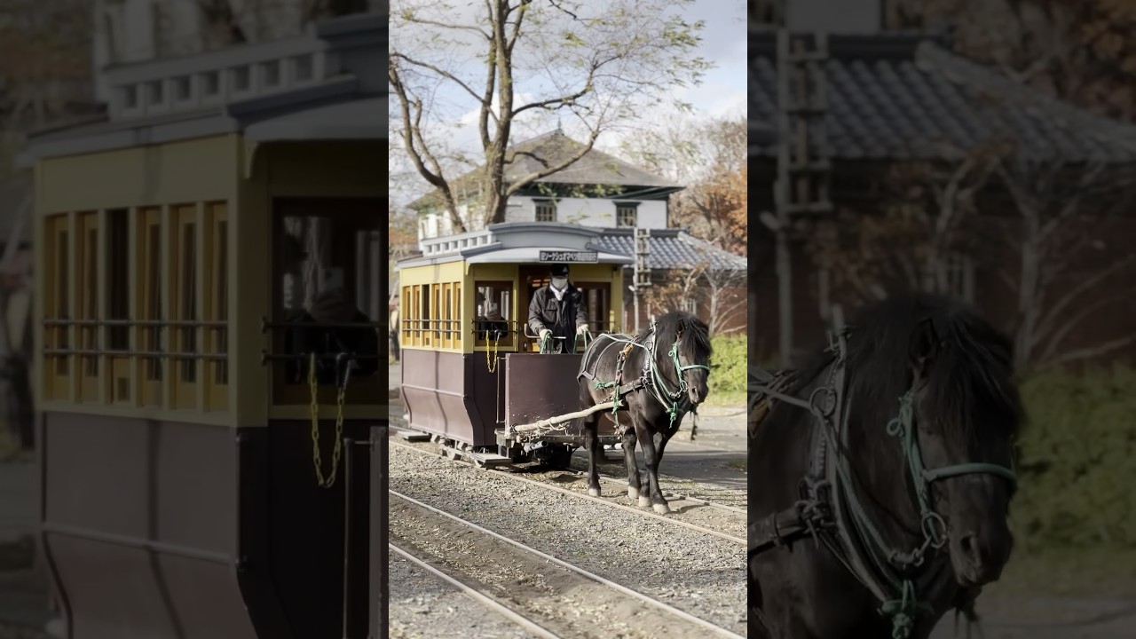 YouTube Short thumbnail