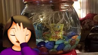 Best And Worst Betta Fish Tank Set Ups Episode 4 | Tuesday Tank Reviews