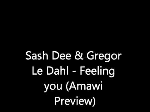 Sash Dee & Gegor Le Dahl - Feeling you (Amawi Preview)