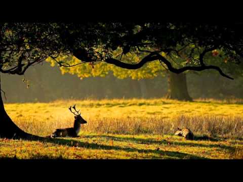 Jhora Pata Habib ft. Nancy Album: RONG(2012)