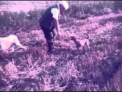 Ai miei cari genitori