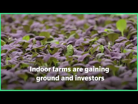 Investors plant money in indoor farms