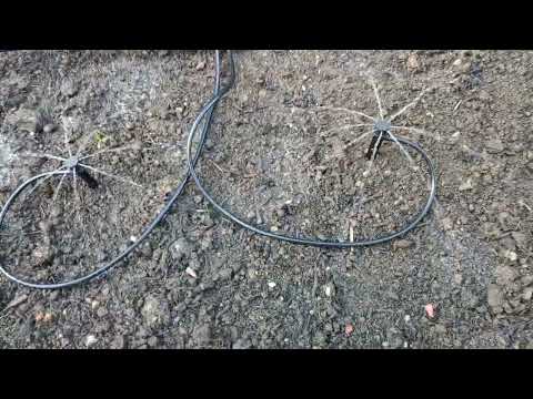 günstige automatische Bewässerung aus Amazon