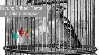 Download lagu Lirik & chord lagu : 'burung pribadi' mp3