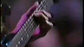Larry Carlton - Josie