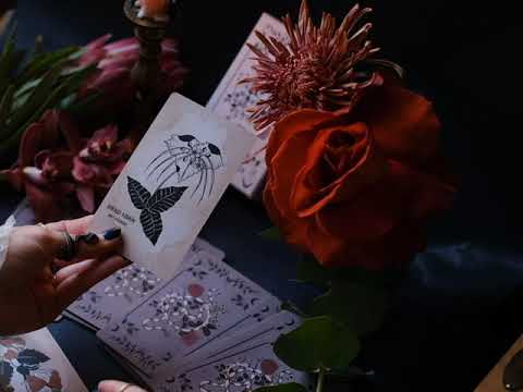 Introducing: Pythia Botanica Oracle Volume II - Flip Through